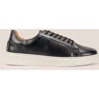 Harris Leather Derby Sneaker Trainer
