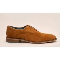 William Suede Oxford Brogue
