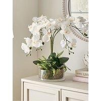 Scottish Everlastings Ltd Real Touch 5-Stem Orchid With Fern In Glass Pot 55cm, Green