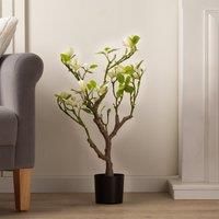 Scottish Everlastings Ltd Tabletop Real Touch Magnolia Tree Cream 70cm, Cream