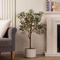 Scottish Everlastings Ltd Olive Tree In Ceramic Pot 110cm, Green