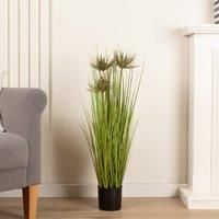 Scottish Everlastings Ltd Papyrus Plant 90cm, Green