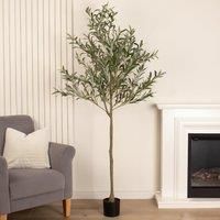 Scottish Everlastings Ltd Olive Tree 190cm, Green