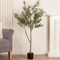 Scottish Everlastings Ltd Olive Tree 120cm, Green