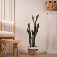 Scottish Everlastings Ltd Faux Euphorbia Cactus 80cm, Green