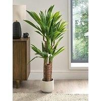 Scottish Everlastings Ltd Triple Stem Yucca Tree 120cm, Green
