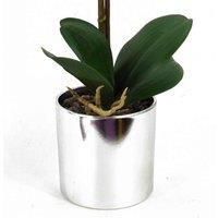 Orchids Plants Flowers Artificial Realistic - with Planters by Leaf Design
