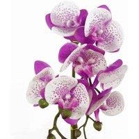 Leaf Design UK Realistic Artificial Orchid Flower Display in Pot