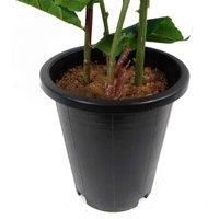 Artificial Fern Plants Foliage Realistic Evergreen Display Home or Office