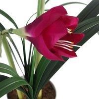 Leaf Design UK Realistic Artificial Flower Plant Tree, Amarylis Pink, 60cm