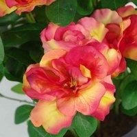Leaf Design UK Realistic Artificial Flower Plant Tree