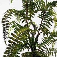 Leaf Artificial Realistic Natural Look Moss Fern in Pot, 70 cm