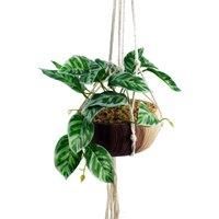 Leaf Design UK Realistic Artificial Foliage Pot, Hanging Pothos Plant Planter, 85cm