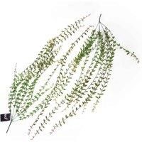 Leaf Pack of 12 Design Artificial Hanging Fern Foliage Plants