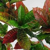 Leaf Artificial Codiaeum Multicoloured House Plant