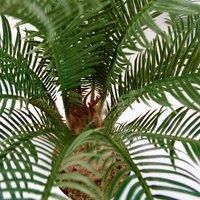 Leaf Design UK Large Realistic Artificial Palm Tree, 60 cm, Cycas Tropical
