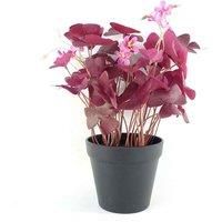 Artificial Plant Purple Shamrock Pink Flowers Potted