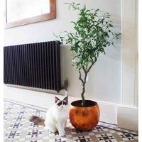 Large Artificial Olive Plants for Home or Office Display by Leaf Design UK