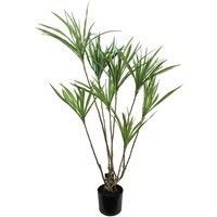 125cm Dragon Tree Dracaena Plant Natural Look Artificial | Dried Flowers