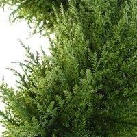 Leaf Artificial Boxwood Tower Tree Topiary Twist Metal Top Design UK, 120cm Spiral Cypress