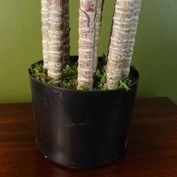 Large Artificial Jade Plant Shrub Green 75cm Tall