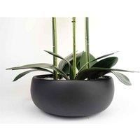 Leaf Design UK Realistic Artificial Orchid Flower Display in Pot