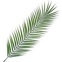 Artificial Foliage Realistic Palm Leaf 100cm Pack of 6