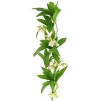 Artificial Foliage Hainan Elaeocarpus Stem 90cm Pack of 6