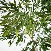 Leaf Design 120Cm Uv Resistant Artificial Japanese Ficus Leaf Tree, Green