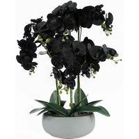 Orchid Artificial Black with White Ceramic Planter