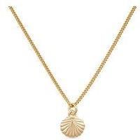 Dainty 18K Gold Shell Clam Necklace