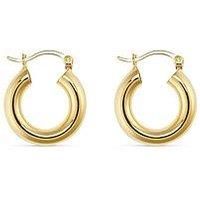 Small 14K Gold Thick Hoops