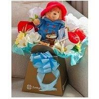 Funky Hampers New Baby Paddington Bear Bouquet, Multi