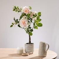 Scottish Everlastings Ltd Real Touch Pink Rose Tree 75cm, Multi