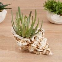 Artificial Succulent in Cement Shell Plant Pot