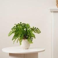 Scottish Everlastings Ltd Fern In Speckled Ceramic Pot 28cm, Green