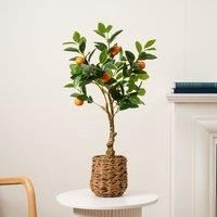 Scottish Everlastings Ltd Orange Tree In Woven Basket 76cm, Green