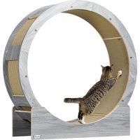 Cat Wheel for Indoor Cats with Brake, Scratching Pads