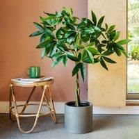 Artificial Money Tree