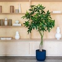 Artificial Money Tree