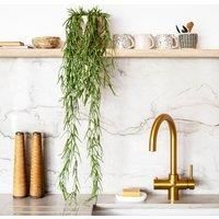 Artificial Hanging Hoya Linearis Plant