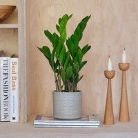 Capri Plant Pot
