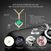 Birthday Gifts For Her 30Th- 100Th S925 Silver Necklace Message