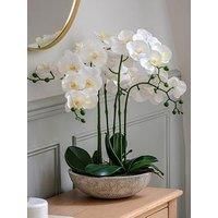 Gallery Direct Oversized Orchid In Cement Pot White