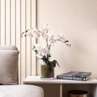 Artificial White Orchid with Eucalyptus in Glass Plant Pot