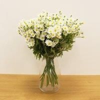 Artificial White Daisy Stems
