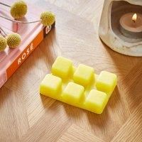 Set of 6 Yuzu and Lemon Zest Wax Melts
