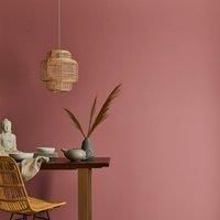Dunelm Matt Emulsion Paint