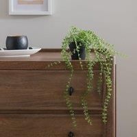 Artificial Trailing Ficus Pumila Plant in Black Plant Pot
