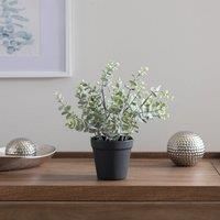Artificial Eucalyptus Plant in Black Plant Pot